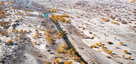 庫爾勒|【庫爾勒旅遊推介】2024年必去當地景點、美食打卡，熱門酒店。